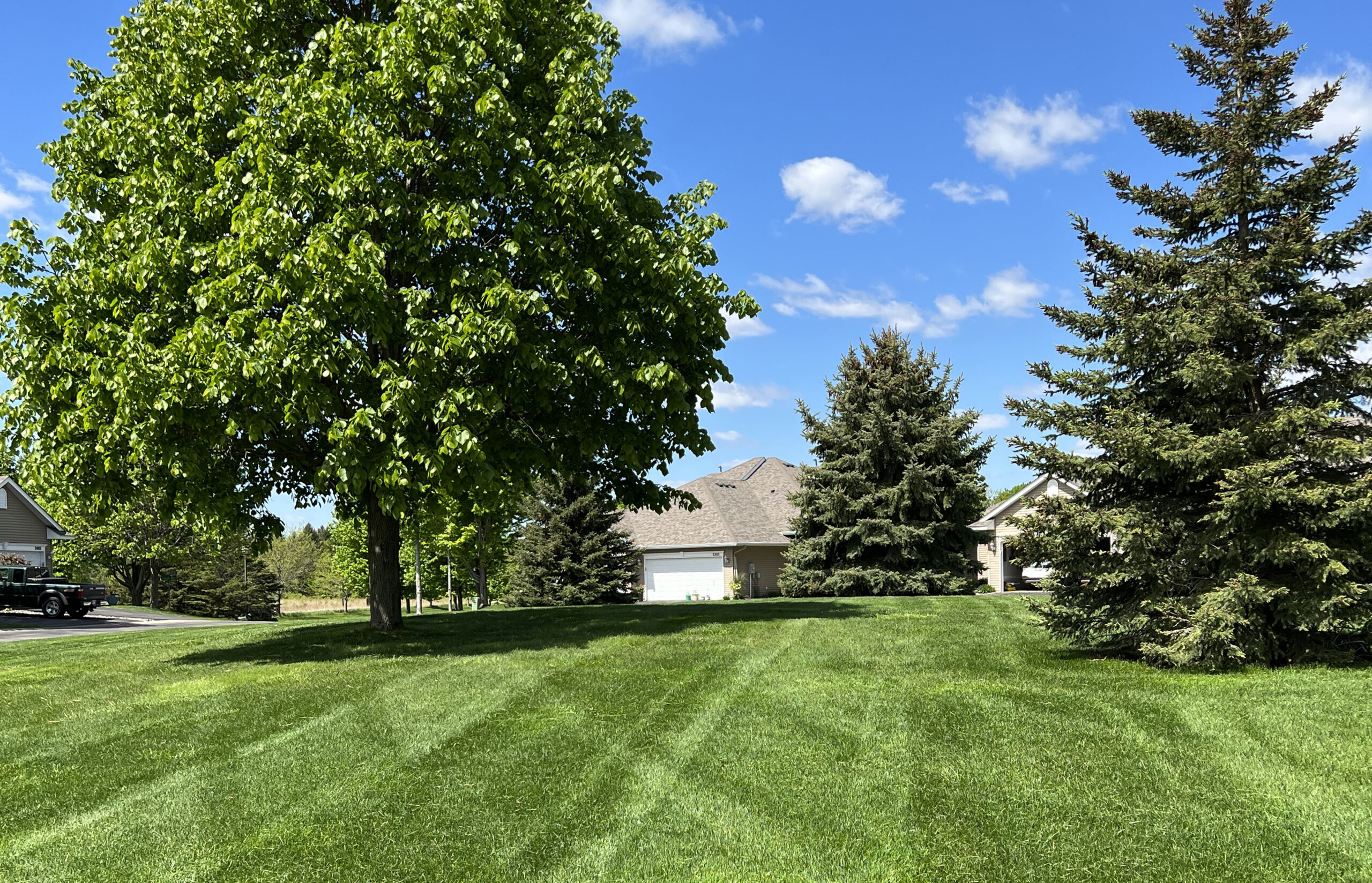 Essential Lawn Care Treatments for a Beautiful Minnesota Lawn